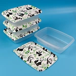 Printed PP Food Container With Separate Lid