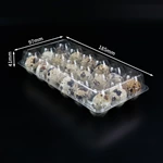 Transparent PET Tri-Fold Quail Egg Tray | 18 Cavity Plastic Quail Egg Box