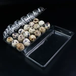 Transparent PET Tri-Fold Quail Egg Tray | 18 Cavity Plastic Quail Egg Box