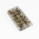 Transparent PET Tri-Fold Quail Egg Tray | 18 Cavity Plastic Quail Egg Box