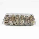 Transparent PET Tri-Fold Quail Egg Tray | 18 Cavity Plastic Quail Egg Box